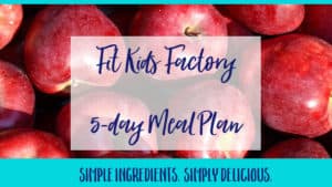 Read more about the article Fit Kids Factory 5-Day Meal Plan