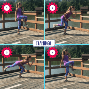 Read more about the article Flamingo – Fit Kids Factory